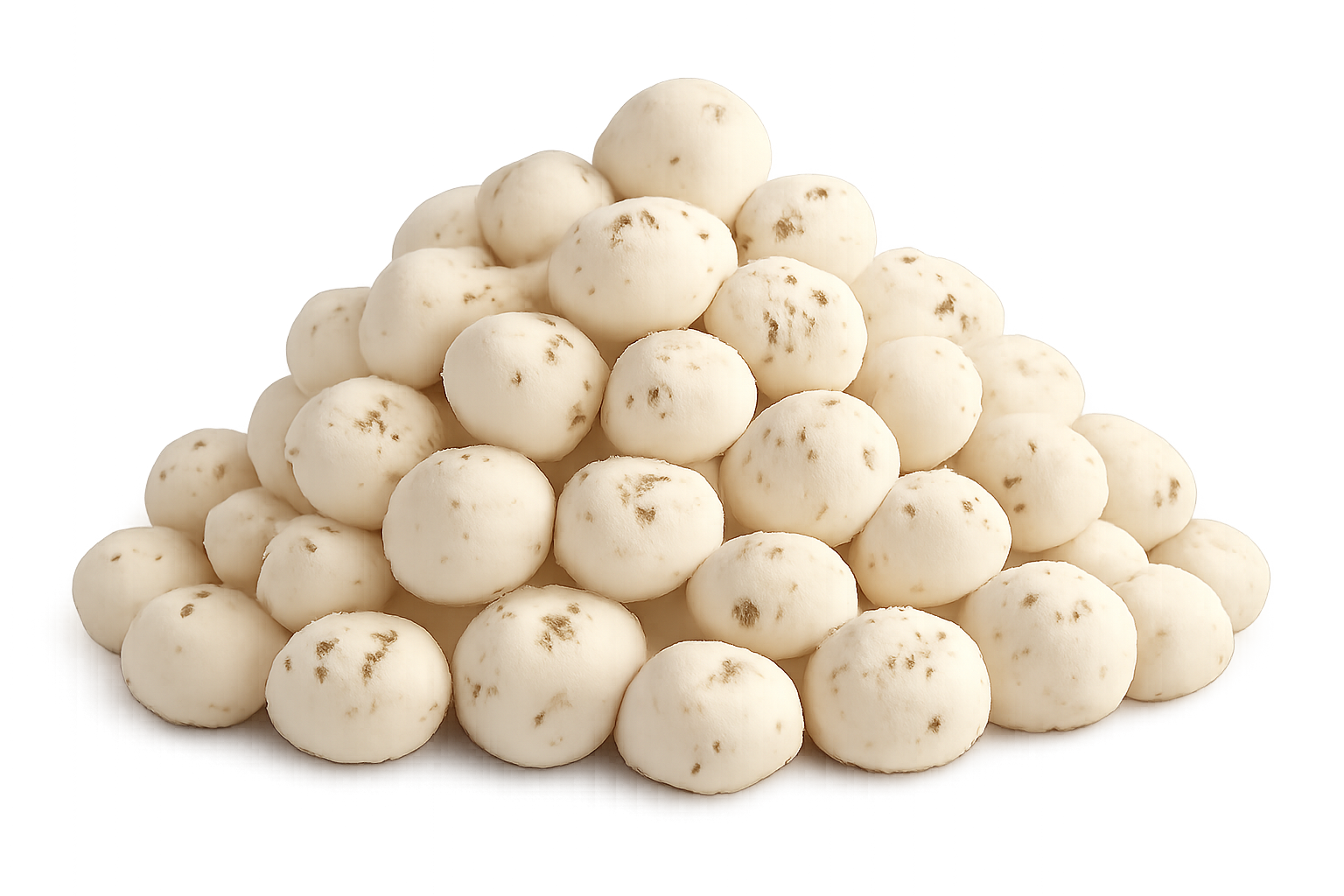 5+ Normal Sizes Makhana Bulk Supply  1Kg